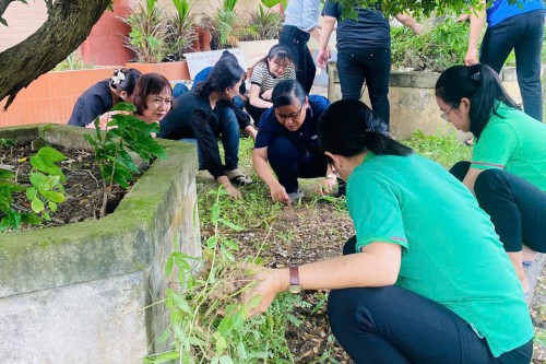 Công tác tổng vệ sinh môi trường, thu gom rác thải tại Thư viện hướng tới Lễ kỷ niệm 80 năm Quốc khánh 2/9